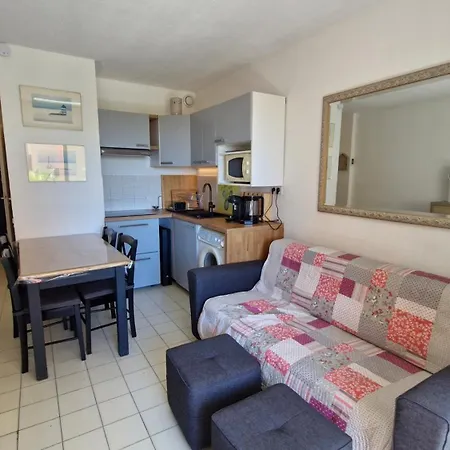 Le Tropique Front De Avec Loggia Piscine Parking 2 Appartement