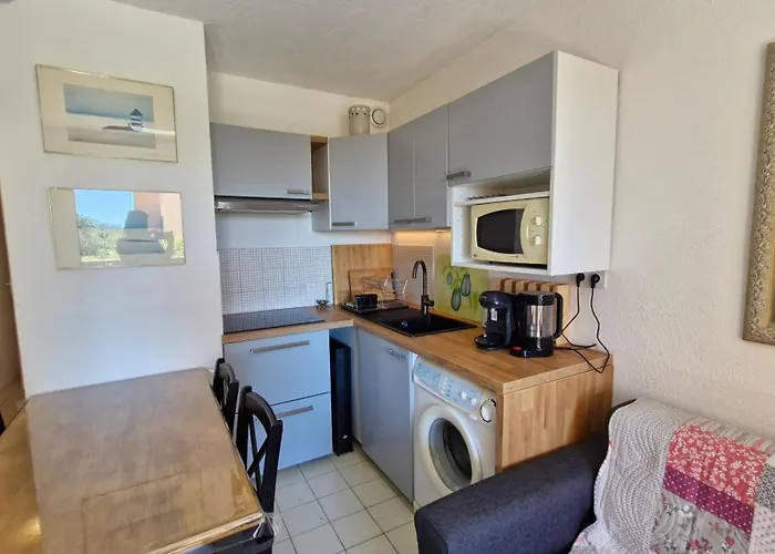 Le Tropique Front De Avec Loggia Piscine Parking 2